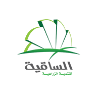 software house egypt