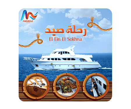 graphic design companies in egypt
