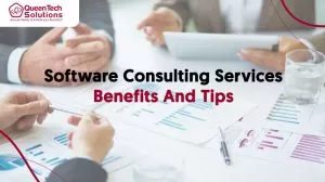 Software Development Consulting Services