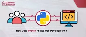 python web development