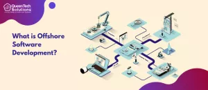 custom offshore software development services