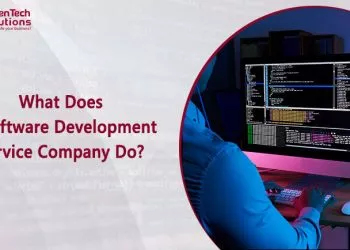 software development services